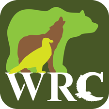 WRC