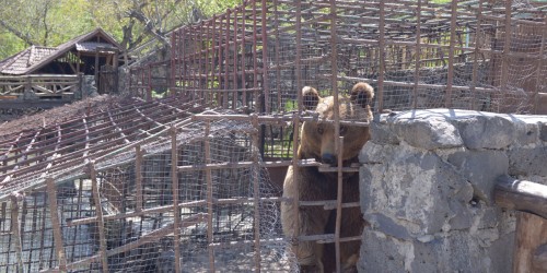 Hrazdan-gorge-5