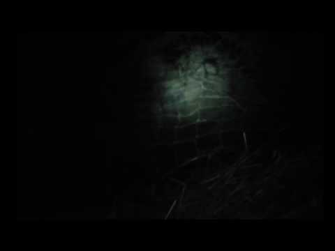 Bear Rescue in Gomq / Արջի փրկարարական առաքելություն Գոմքում